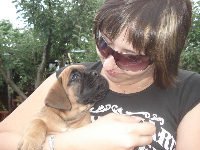 naše boxéří vnoučátka z Č.Peček (96).JPG